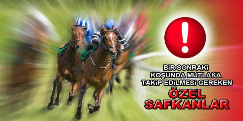 Takip Edilmesi Gereken Safkanlar