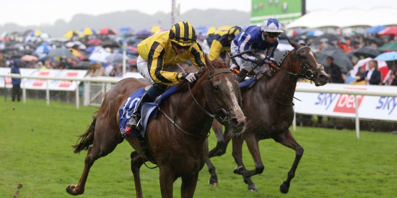 2025 York Ebor Festivali