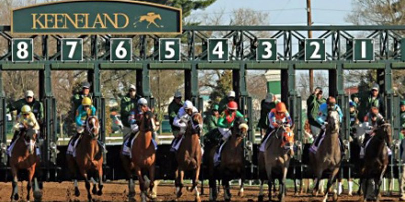 25 Ekim Cumartesi Yurt Dışı Yabancı Yarış Tahminleri