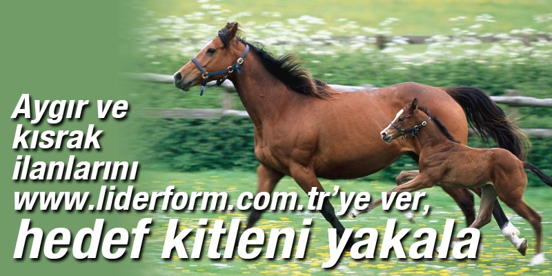 Haber Detay Görsel