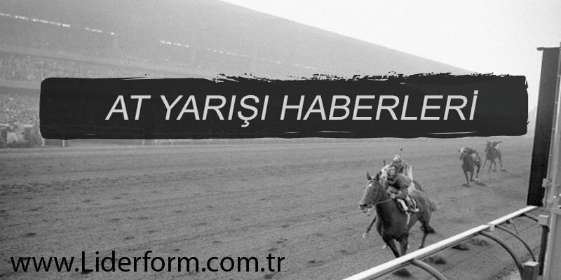 Haber Detay Görsel