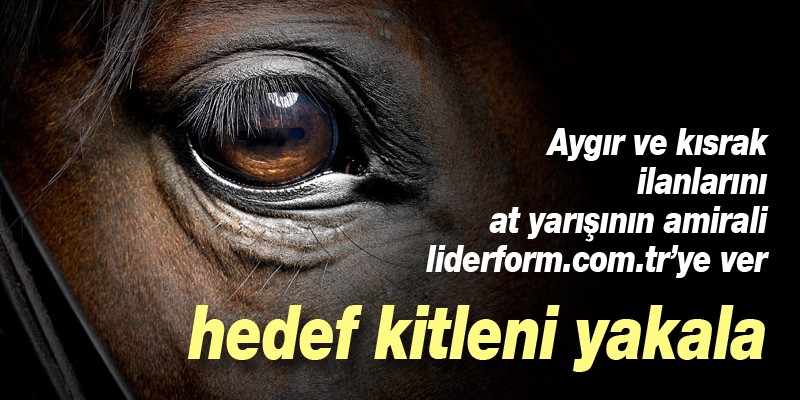 Haber Detay Görsel