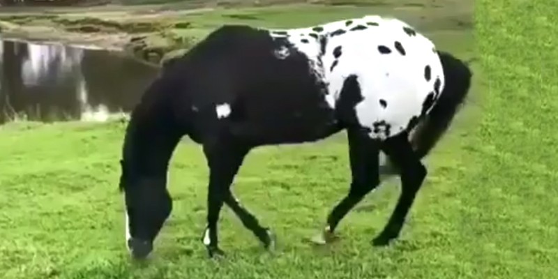Haber Detay Görsel