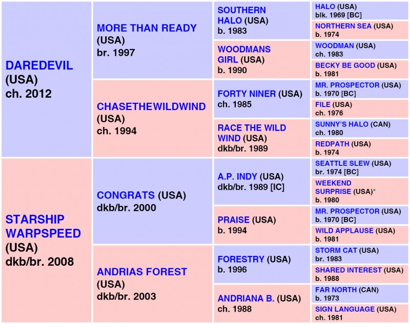 SHEDARESTHEDEVIL   (USA) b. F, 2017 {13-b} DP = 4-2-6-0-0 (12) DI = 3.00   CD = 0.83 - 10 Starts, 5 Wins, 2 Places, 2 Shows Career Earnings: $1,253,518