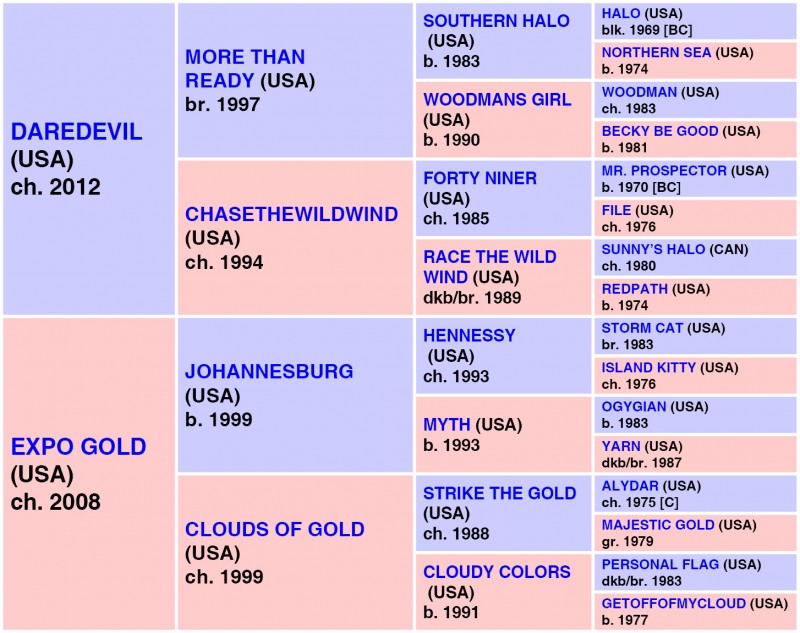 SWISS SKYDIVER   (USA) ch. F, 2017 {5-i} DP = 2-0-4-0-0 (6) DI = 2.00   CD = 0.67 - 11 Starts, 6 Wins, 3 Places, 1 Shows Career Earnings: $1,792,980
