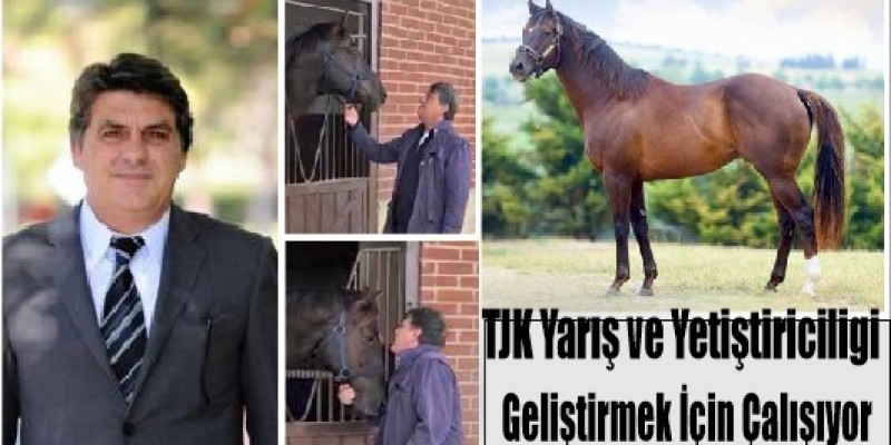 Haber Detay Görsel