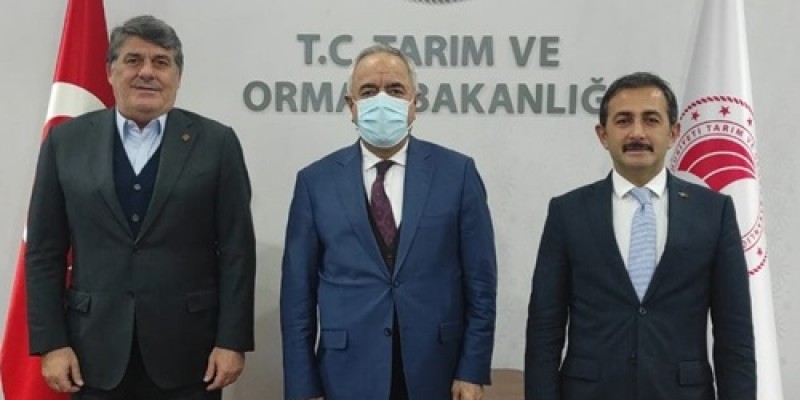 Haber Detay Görsel