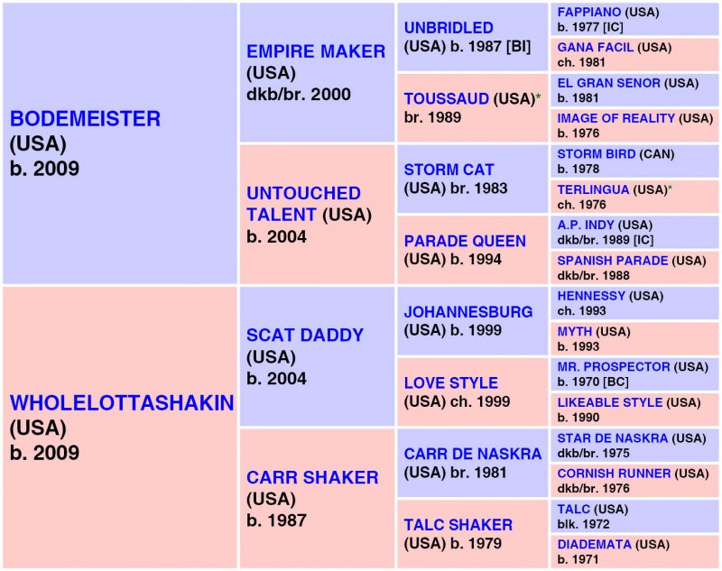 WHOLEBODEMEISTER   (USA) b. F, 2018 {4-g} DP = 3-4-3-0-0 (10) DI = 5.67   CD = 1.00 - 7 Starts, 3 Wins, 0 Places, 1 Shows