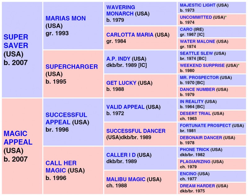 LETRUSKA   (USA) b. F, 2016 {4-m} DP = 3-3-6-0-0 (12) DI = 3.00   CD = 0.75 - 18 Starts, 13 Wins, 1 Places, 1 Shows 