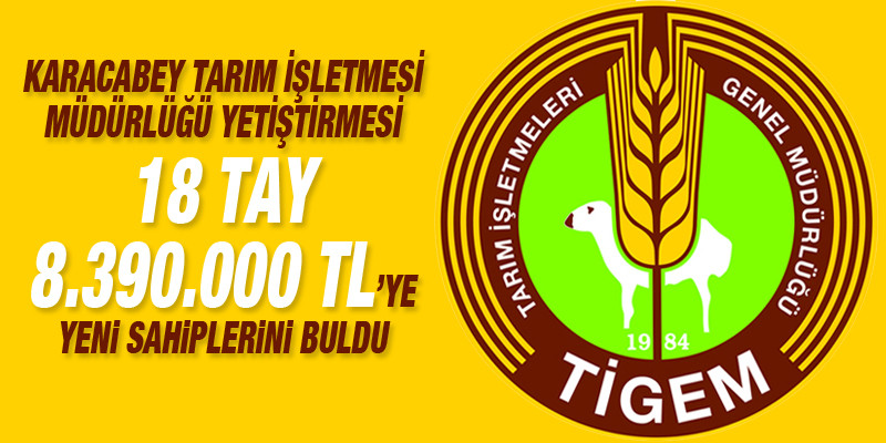 Haber Detay Görsel